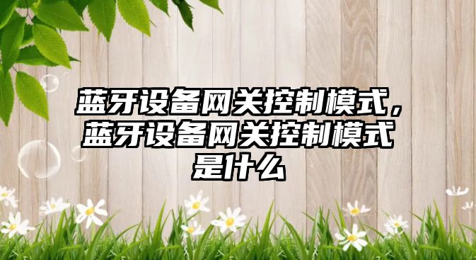 藍牙設備網關控制模式，藍牙設備網關控制模式是什么